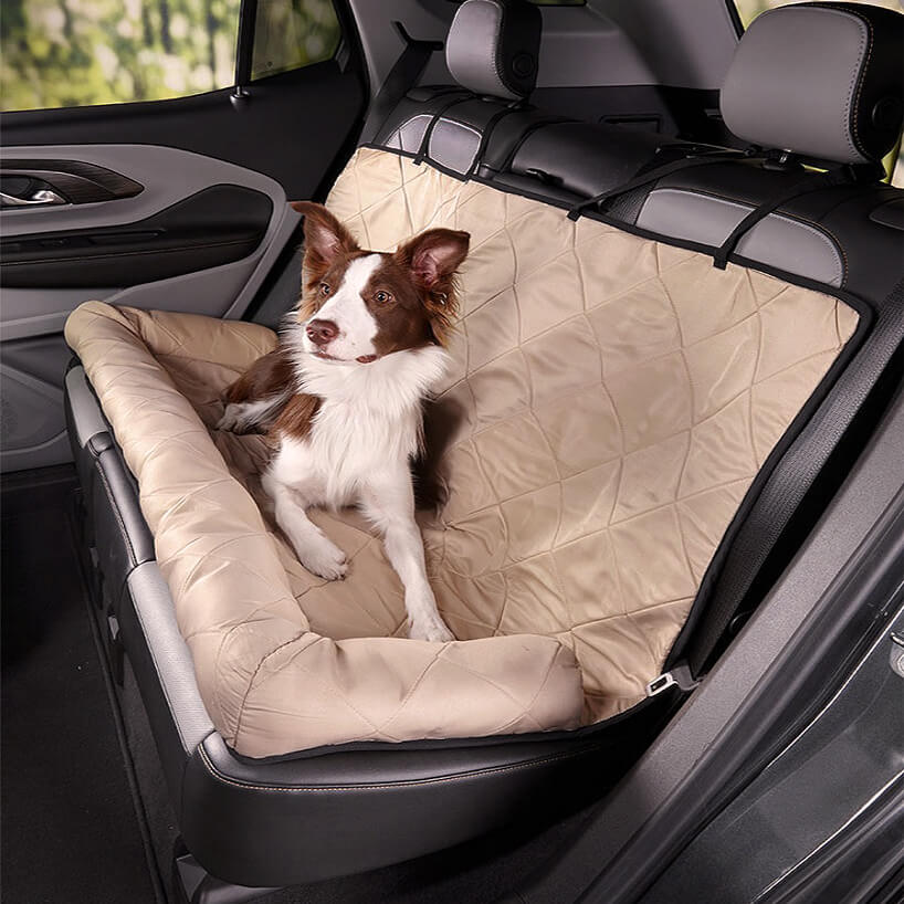 Why Dog Car Safety Matters: The Risks of Traveling Without Restraints