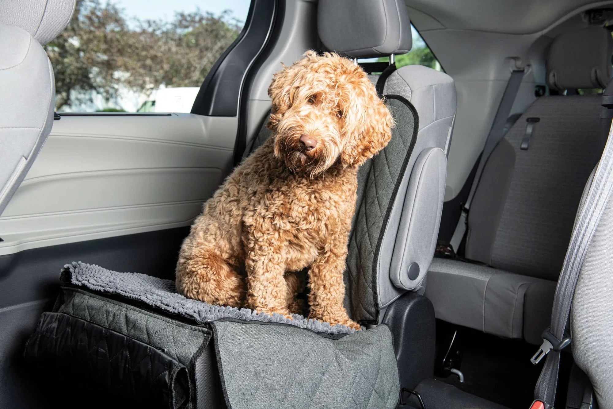 Dog Car Safety: Why Every Pet Owner Needs a Car Seat for Their Pup