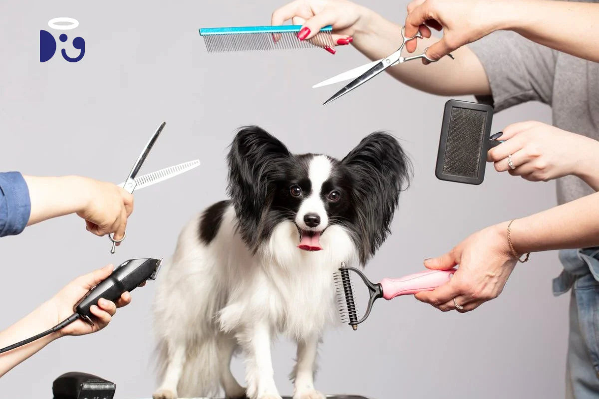Essential Pet Grooming Tips: Keep Your Pet Looking and Feeling Their Best