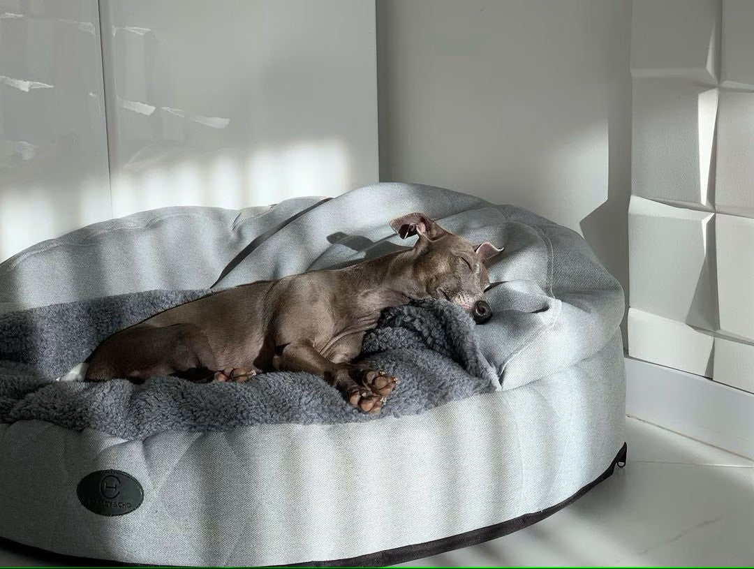 How to Choose the Perfect Dog Bed: A Guide to Comfort and Support for Your Pup