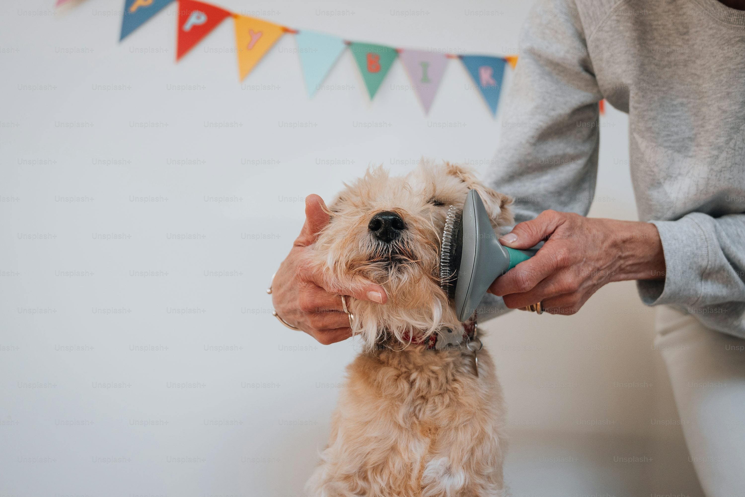 Brushing Basics: How to Keep Your Pet’s Coat Healthy and Tangle-Free
