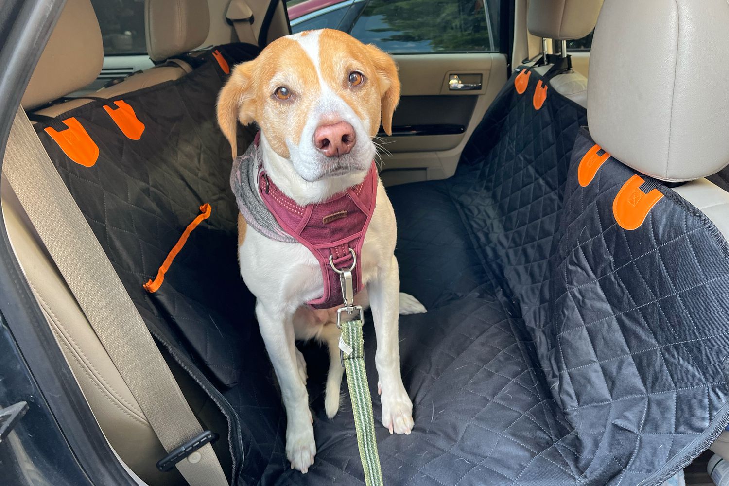 Car Anxiety in Dogs: How a Secure Car Seat Can Help Reduce Stress