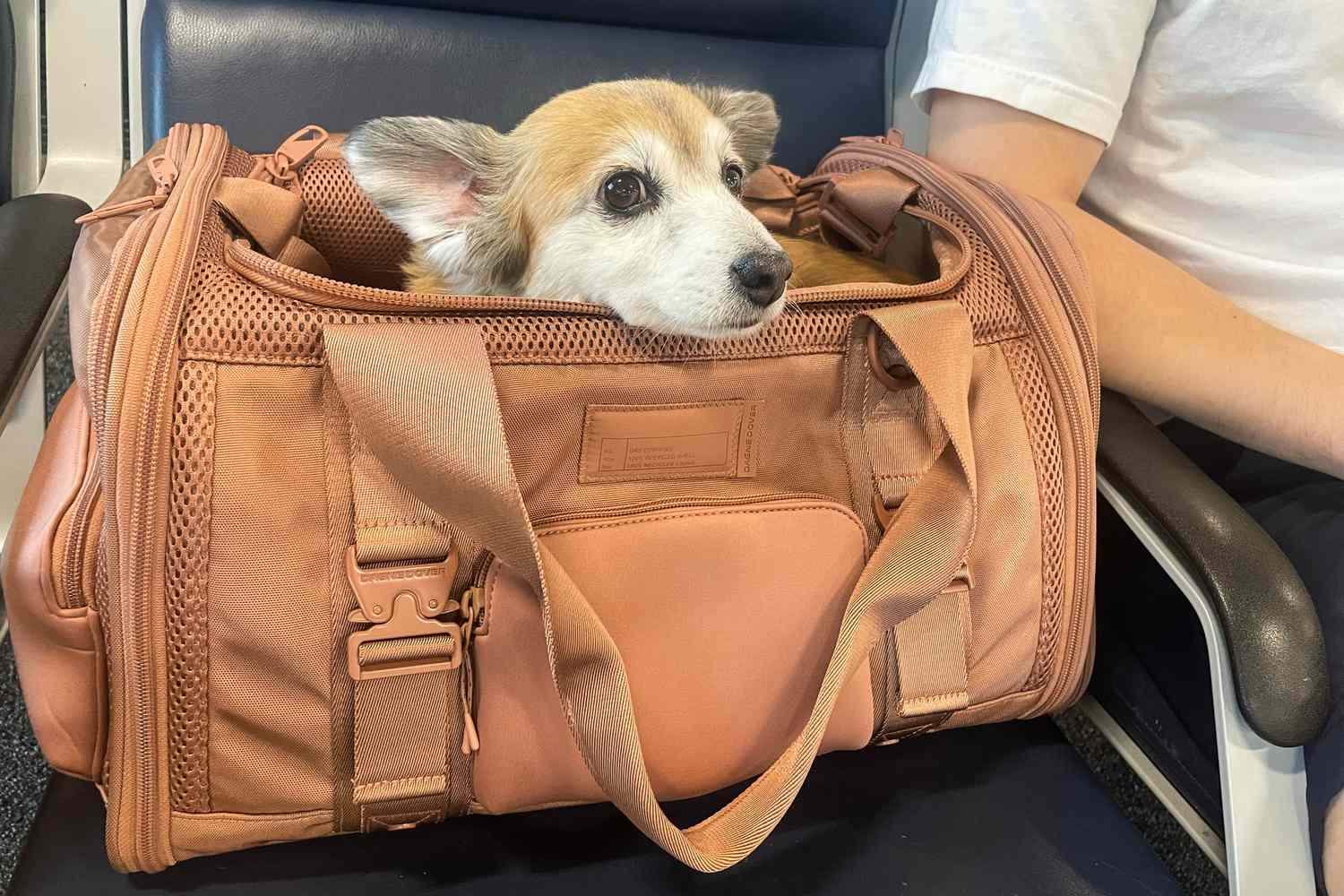 Traveling with Pets Made Easy: The Best Pet Carriers for Stress-Free Trips