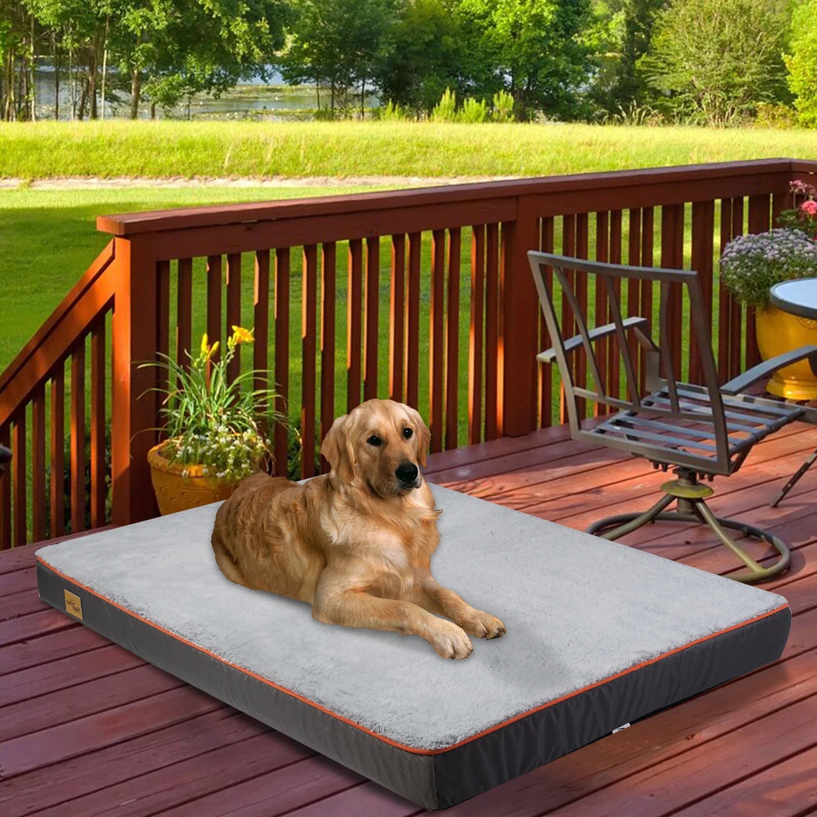 Milo - Dog Bed Comfortable Firm with Removable Cover