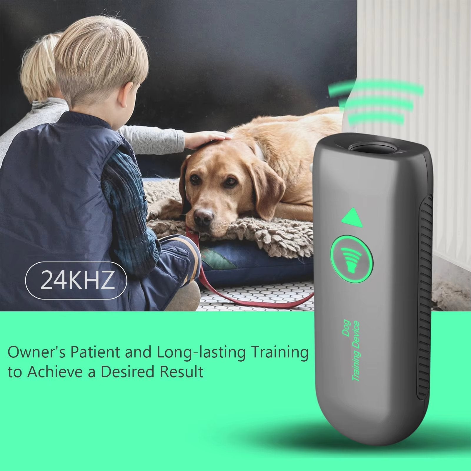 Handheld Ultrasonic Dog Bark Control and Training Gadget