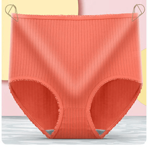 Leak-Free Emily's Underwear Set of 3 – Lightweight, Absorbent, Stylish Comfort in Multiple Sizes