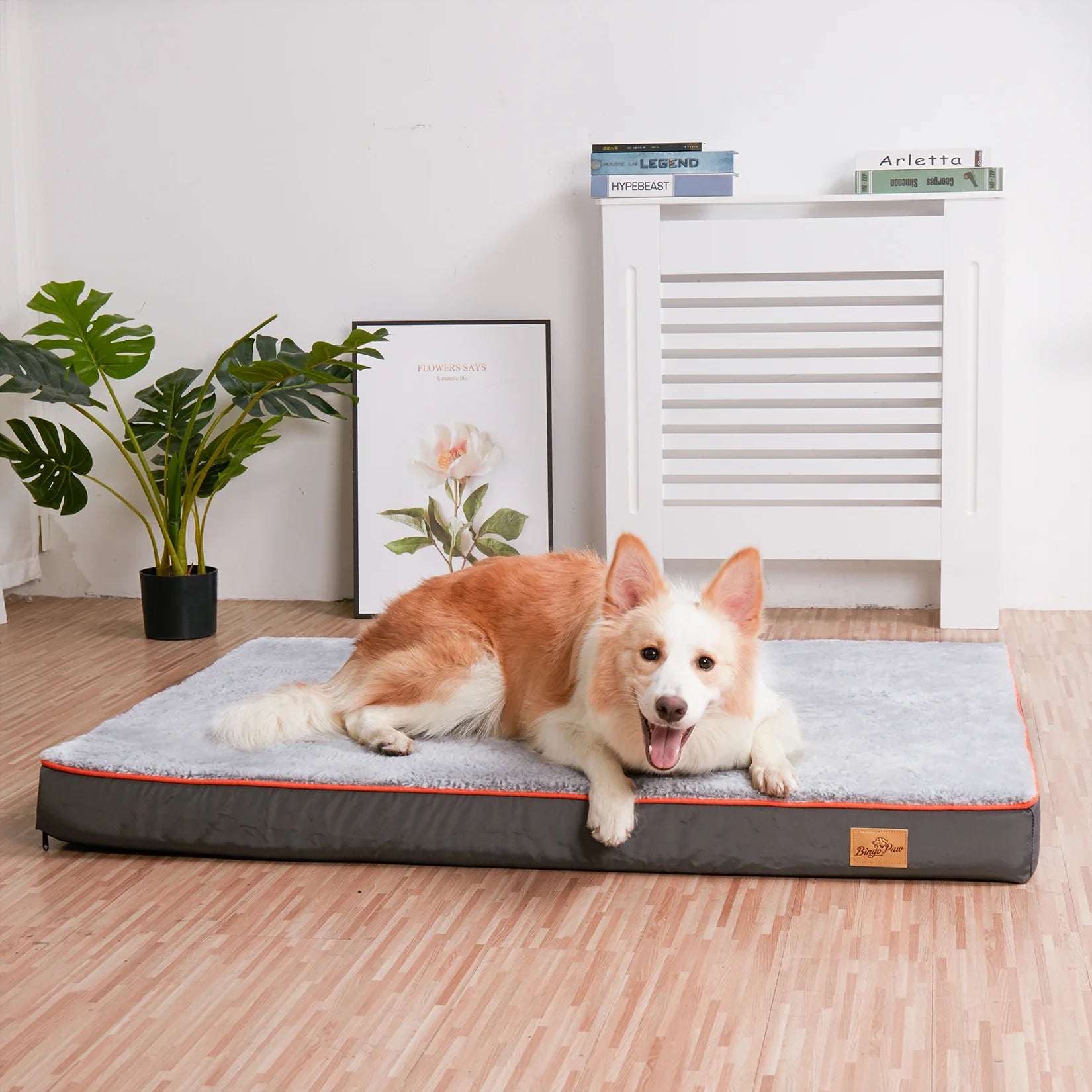 Milo - Dog Bed Comfortable Firm with Removable Cover