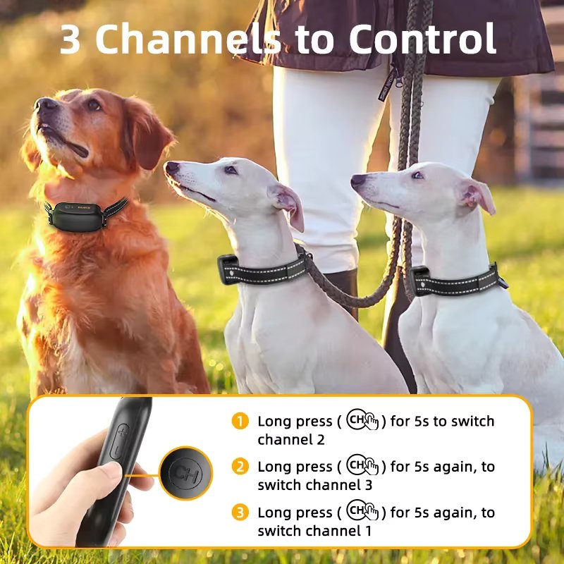 Dog Training Collar with Remote – 3 Safe Modes, 1000M Range, Waterproof