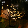 Sunny Wild Fennel Lights - 6-Pack Solar Garden Lights with 15 Warm White LEDs