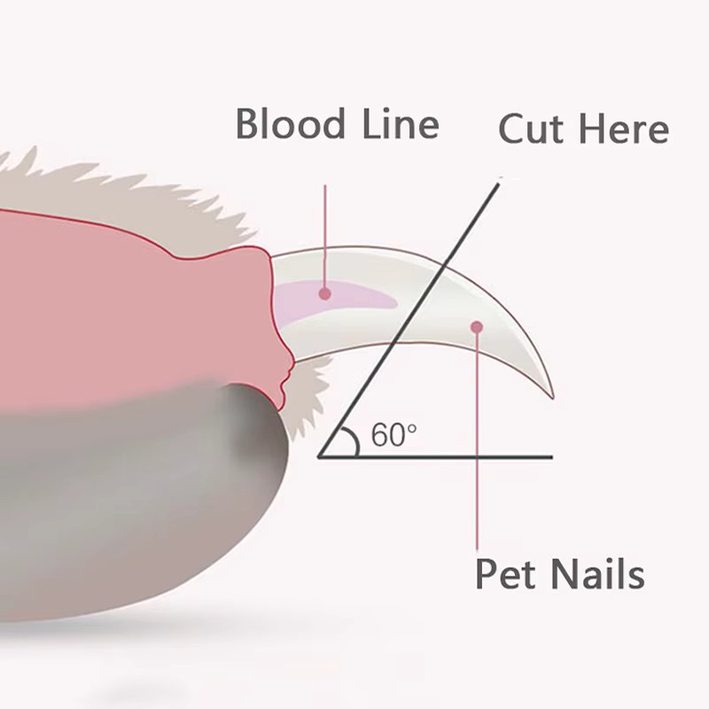 Clippy - Dog Nail Clippers with Safety Guard and Nail Catcher