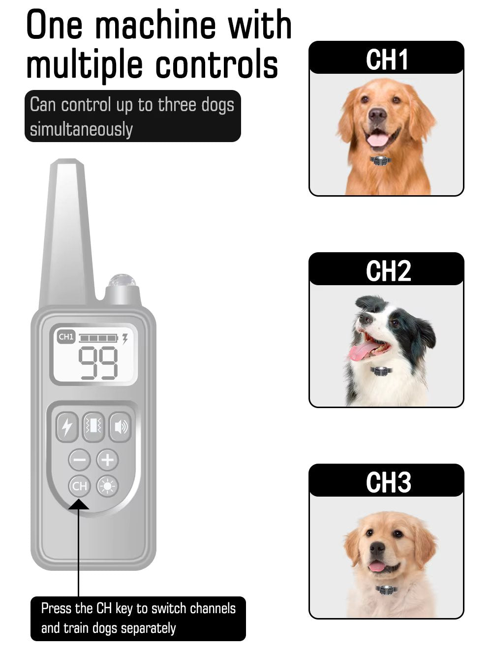 Dog Training Collar with Remote Control - Bark Control & Obedience Trainer