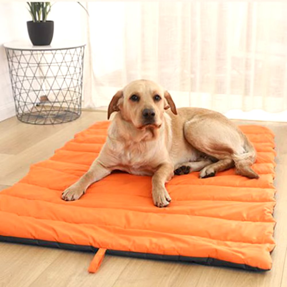 Finn - Foldable Dog Bed with Portable Design