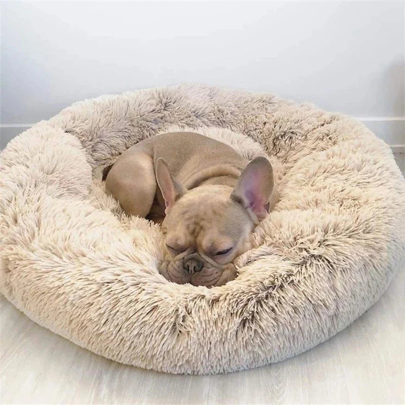 Max - Calming Dog Bed with Cozy Design