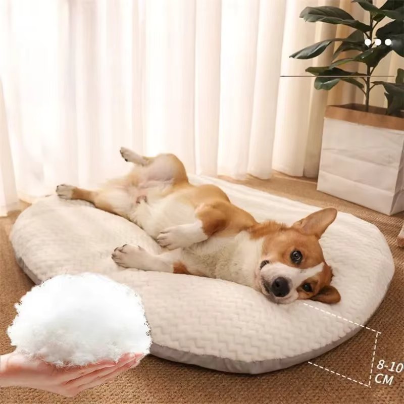 Daisy - Plush Memory Foam Cushion Dog Bed