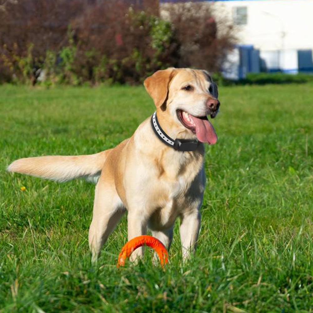 Wireless Dog Fence Containment System - FZ 862