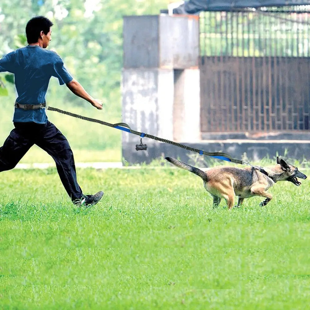 Hands-Free Dog Jogging Leash with Dual Bungees