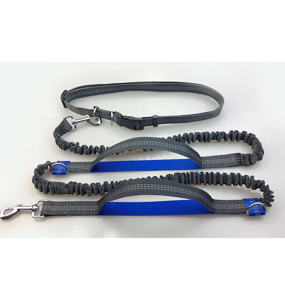 Hands-Free Dog Jogging Leash with Dual Bungees