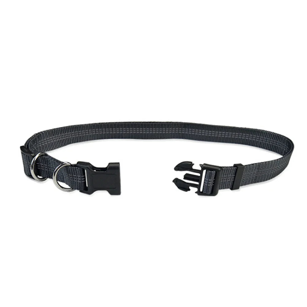 Hands-Free Dog Jogging Leash with Dual Bungees