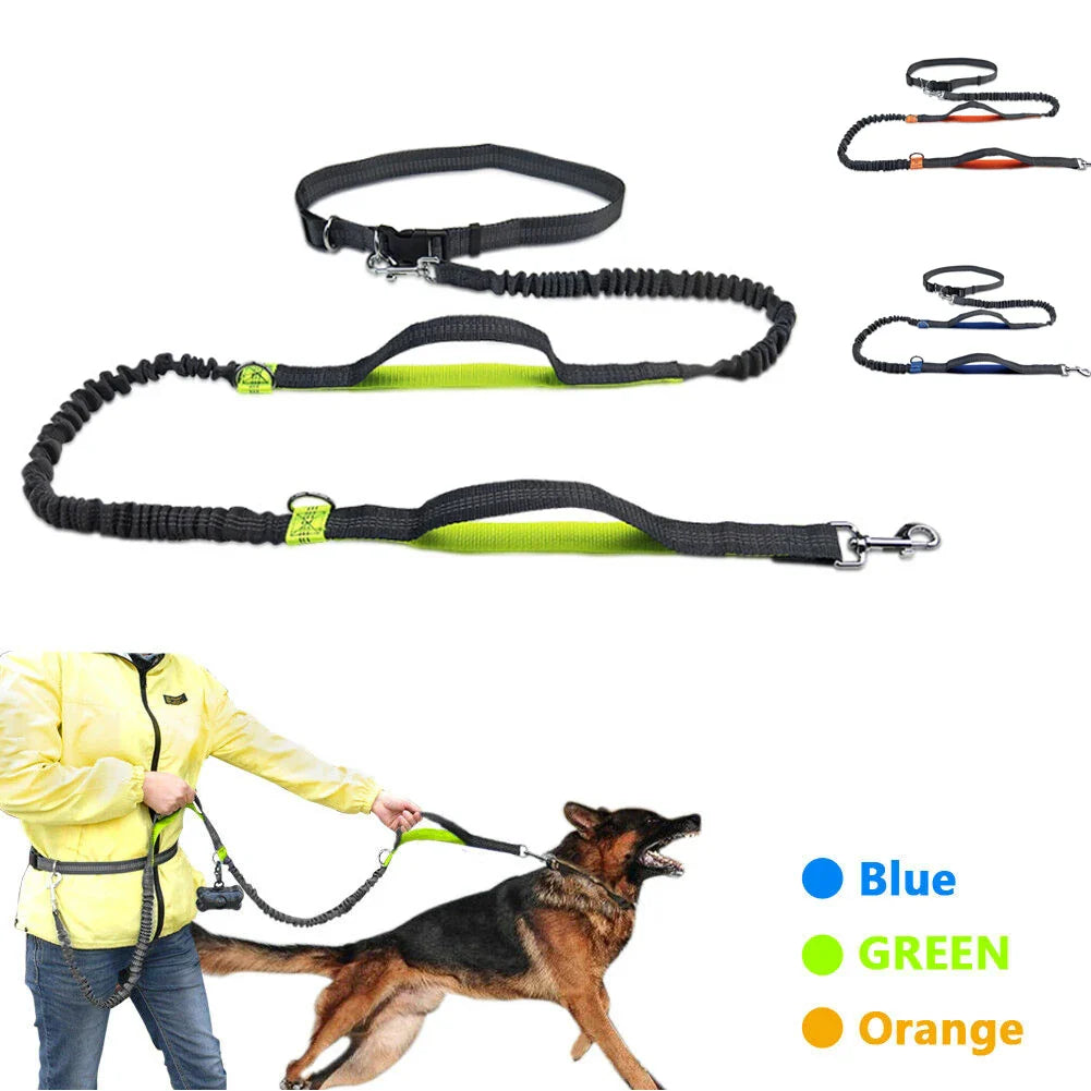 Hands-Free Dog Jogging Leash with Dual Bungees