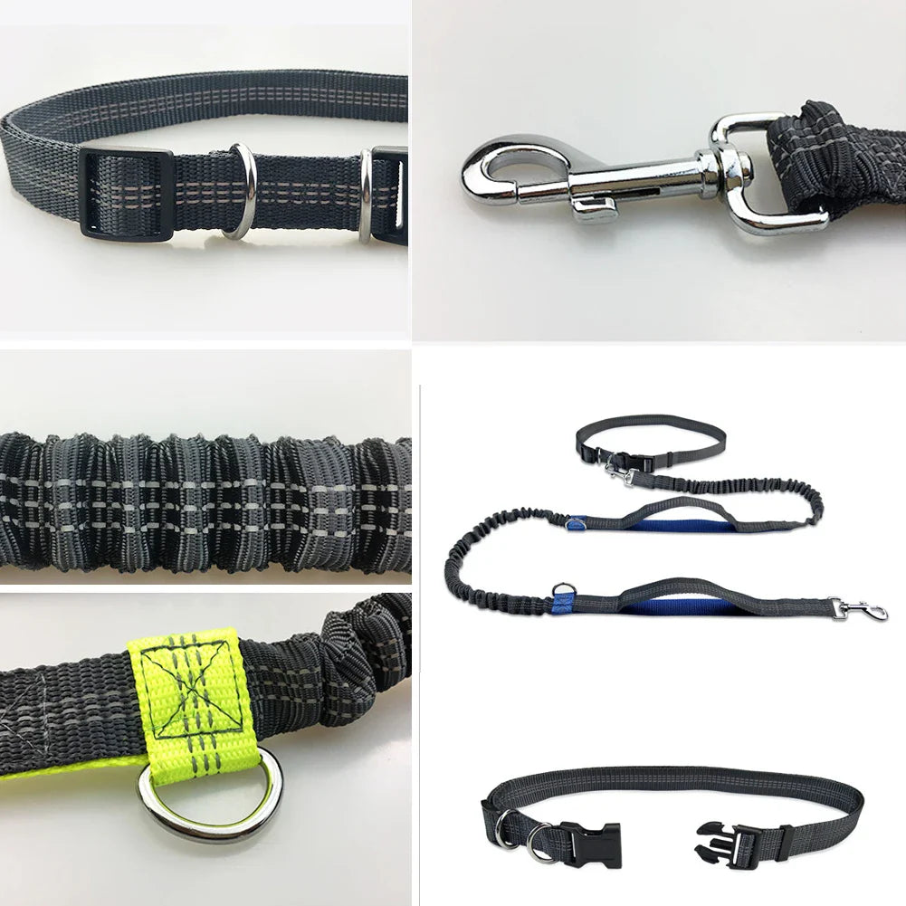 Hands-Free Dog Jogging Leash with Dual Bungees