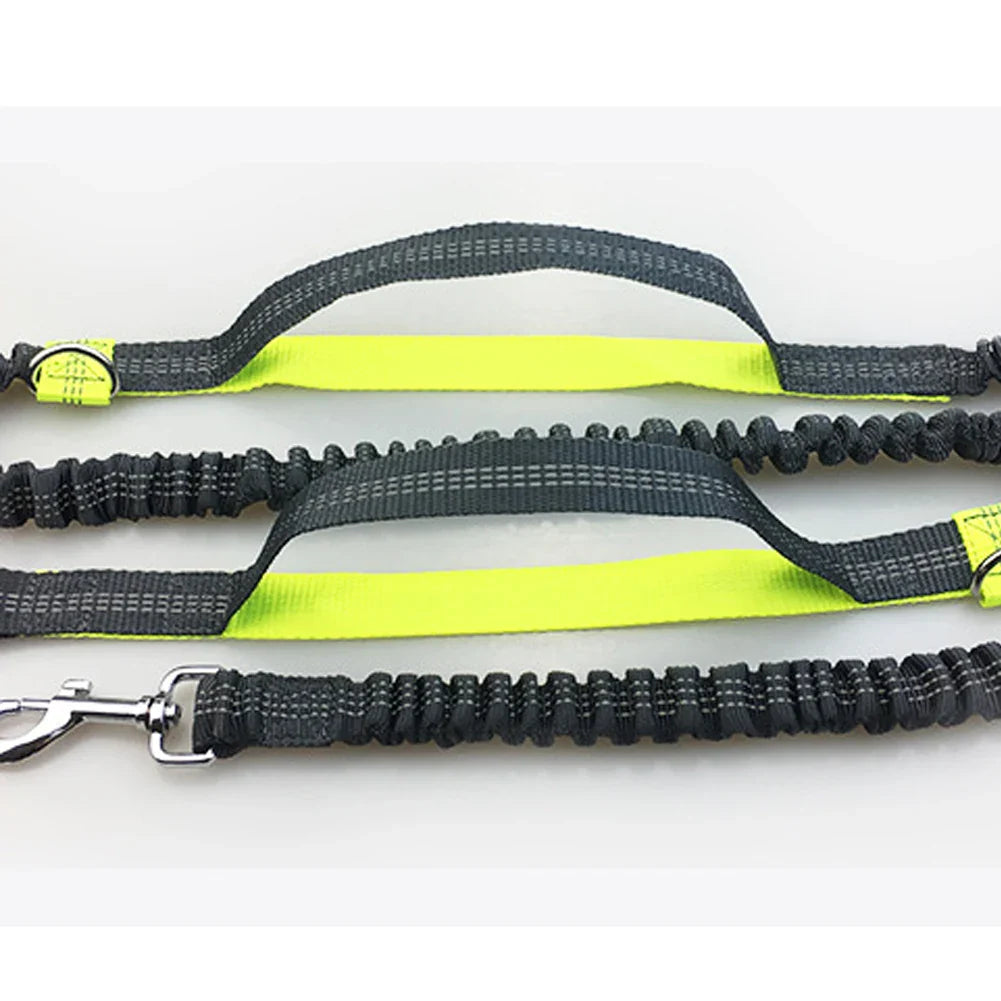 Hands-Free Dog Jogging Leash with Dual Bungees