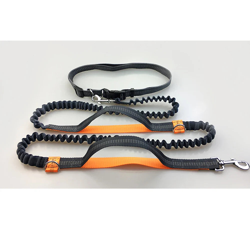 Hands-Free Dog Jogging Leash with Dual Bungees