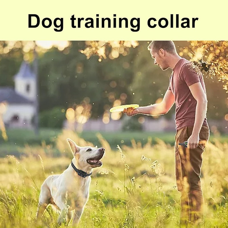 Rechargeable Waterproof Pup Training Collar