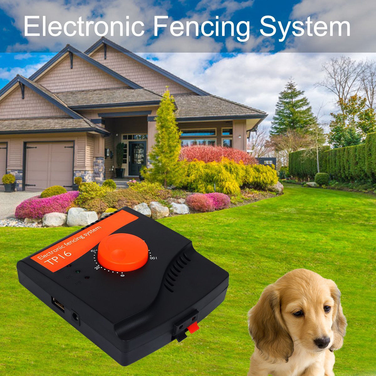 Reliable Electronic Dog Barrier Containment System with 305 Meters Wire