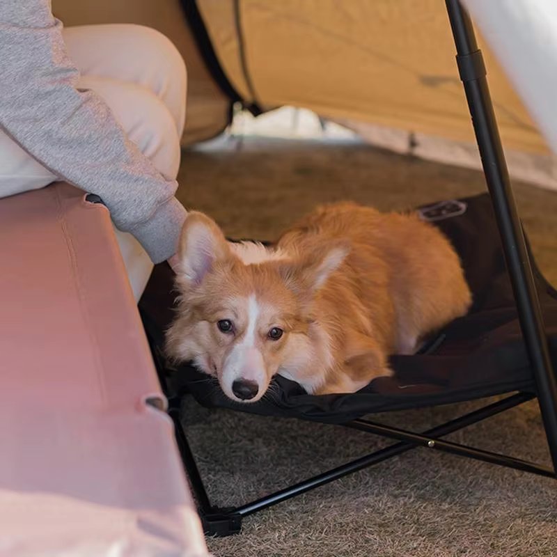 Outdoor Foldable Puppy Bed - Lightweight Travel Pet Cot