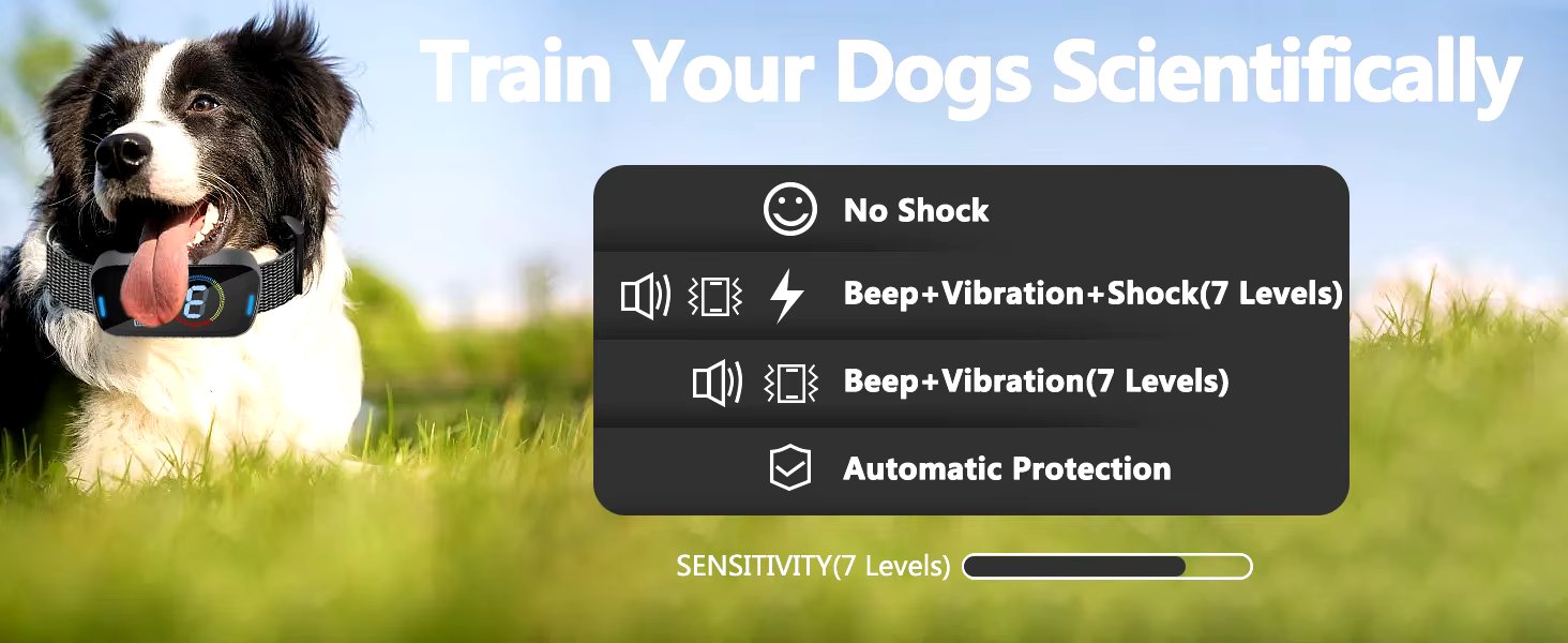 Clever No-Bark Dog Collar with Adjustable Sensitivity and No-Shock Modes