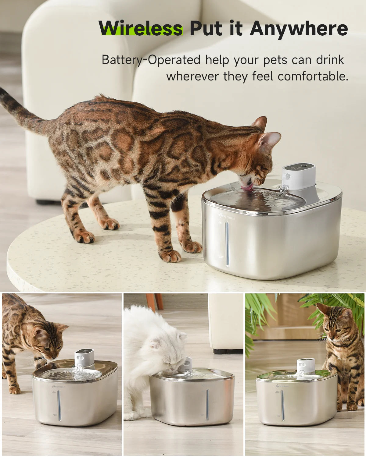 Finn |  Auto Sensor Drinking Fountain - Pet Water Dispenser
