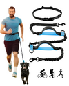 Hands-Free Dog Jogging Leash with Dual Bungees