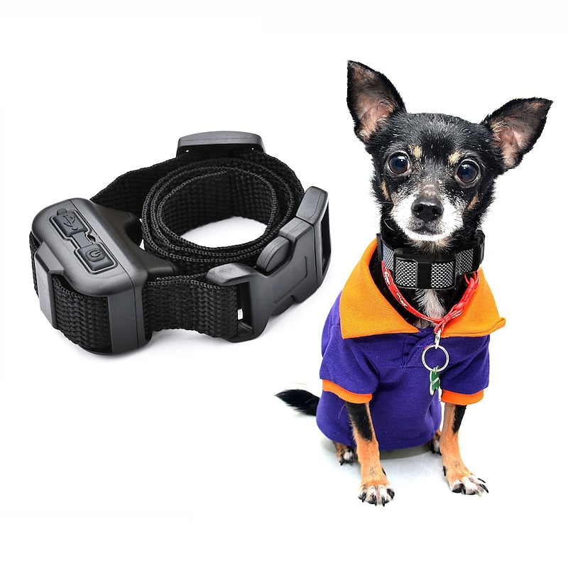 Gentle No-Bark Collar for Small Pups