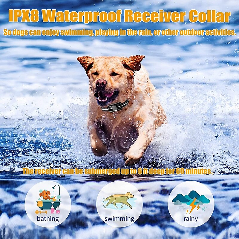 Rechargeable Waterproof Canine Training Collar with Remote Control