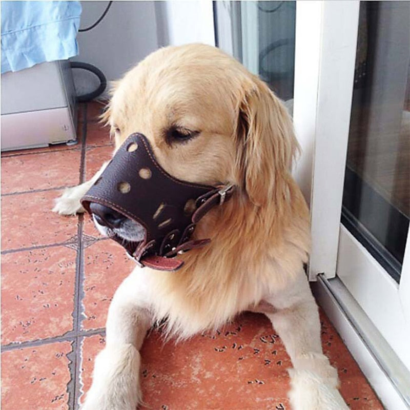 Leather Pet Muzzle for Safe and Comfortable Control