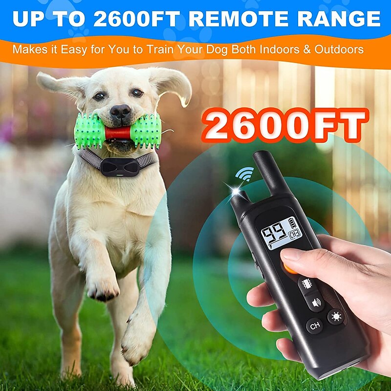 Pet Training Collar with Remote Control