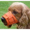 Vibrant Airy Dog Muzzle